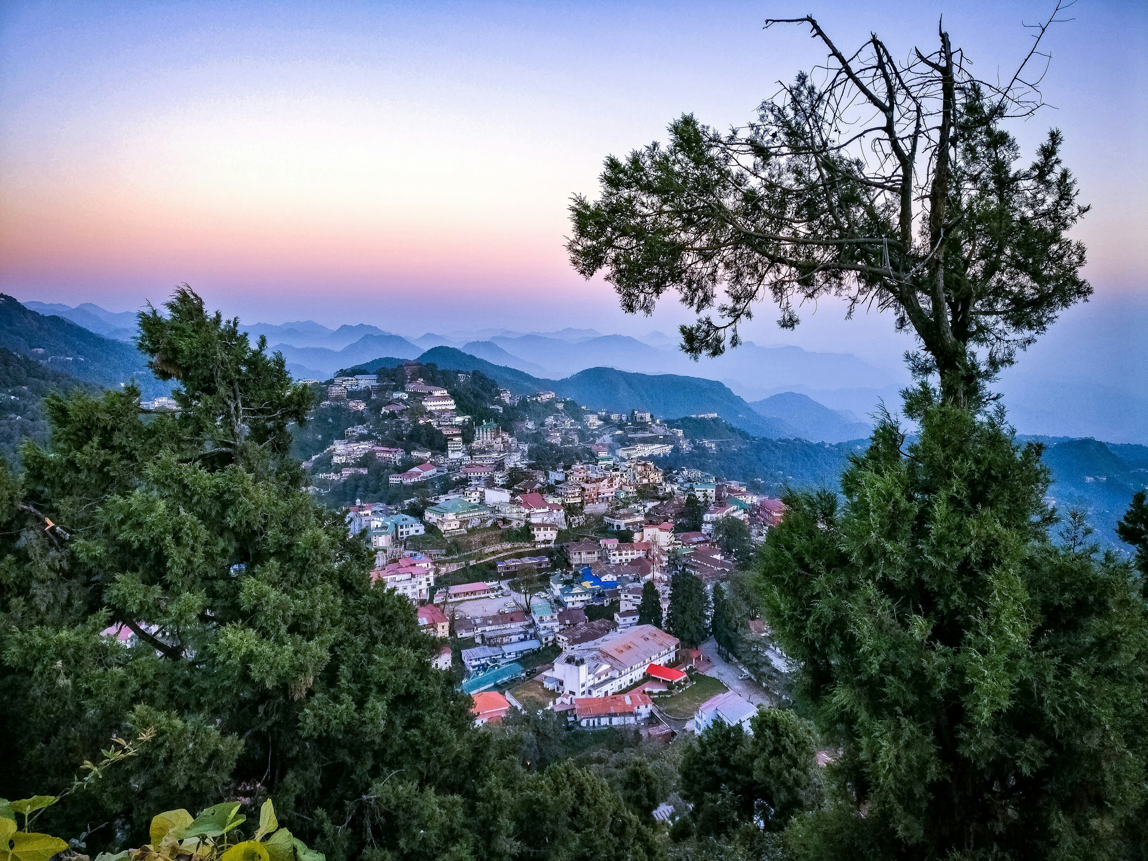 Mussoorie hillside town view framed by trees at dusk
